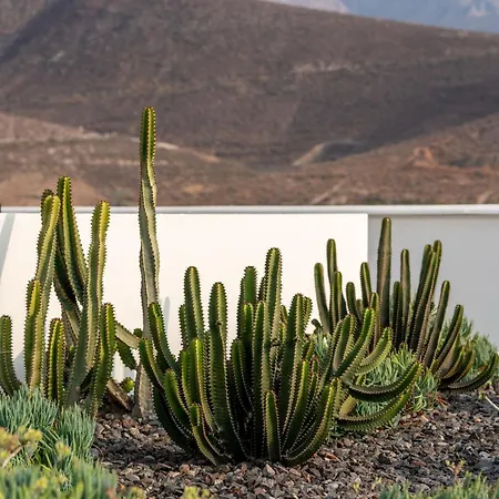 Vivelorural Great Garden & Pool * أَغايتي